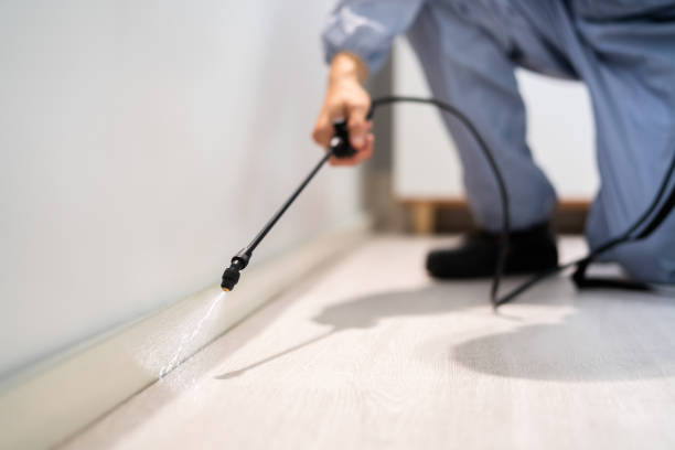 Licensed Termite Control service in Jackson County County, WI - Nex Pest Control
