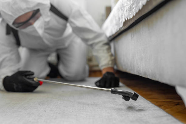 Professional Termite Control technician working in Jackson County County, WI
